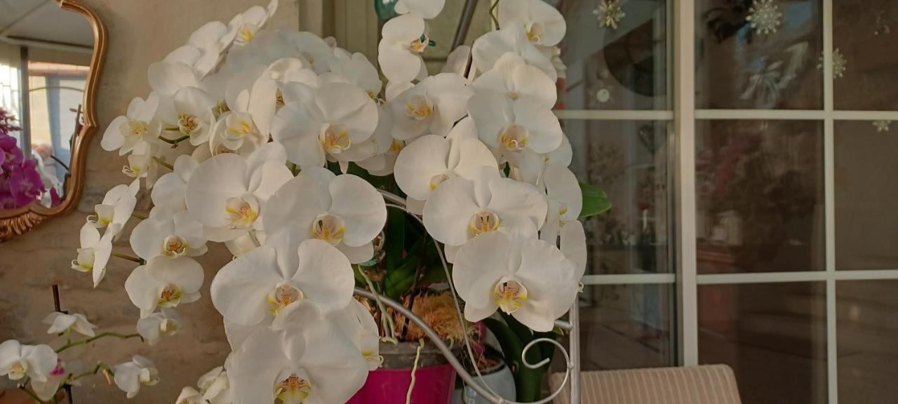 Les Orchidees Chambre Hotes Futuroscope Chasseneuil Poitiers 若奈克兰 外观 照片