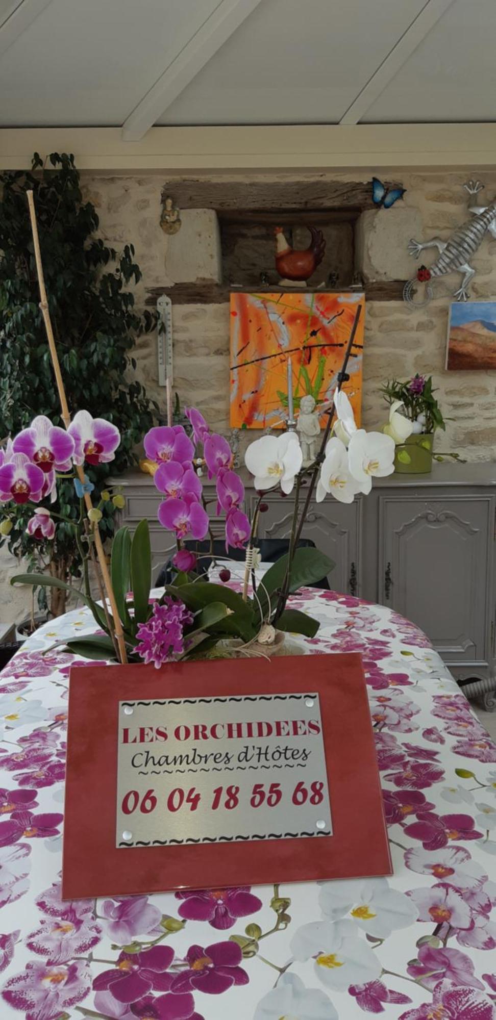 Les Orchidees Chambre Hotes Futuroscope Chasseneuil Poitiers 若奈克兰 外观 照片