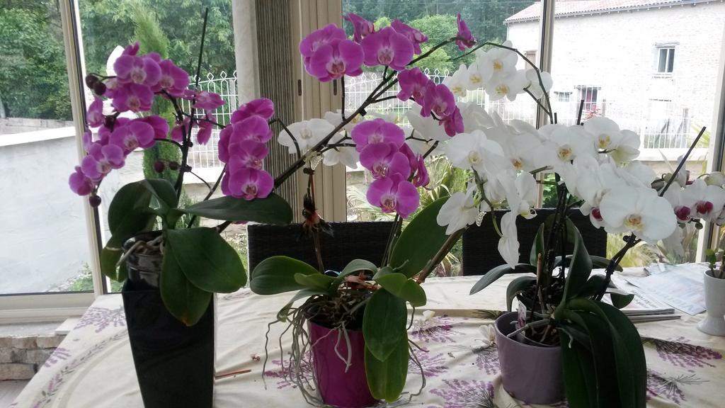 Les Orchidees Chambre Hotes Futuroscope Chasseneuil Poitiers 若奈克兰 外观 照片